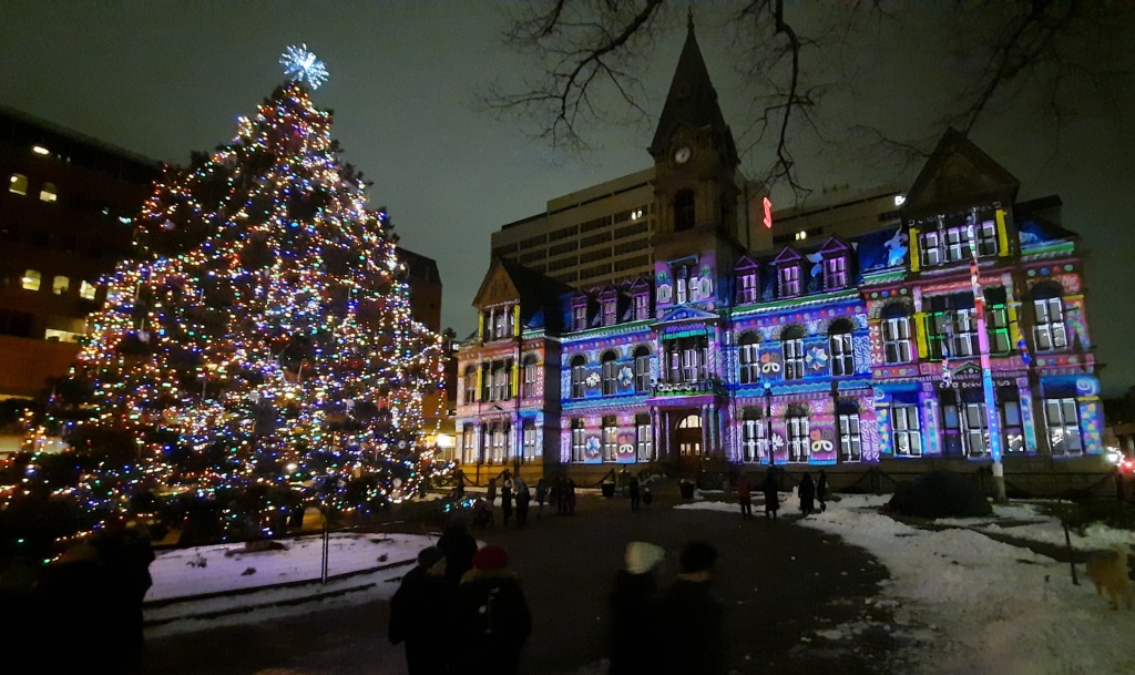 Night photo of decorative lighting on Halifax City Hall and a tree with colourful lights in front of City Hall. 